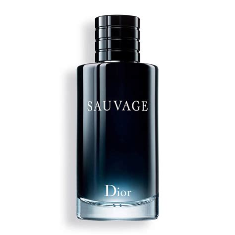 dior sauvage eau de toilette dupe|Dior Sauvage 200ml best price.